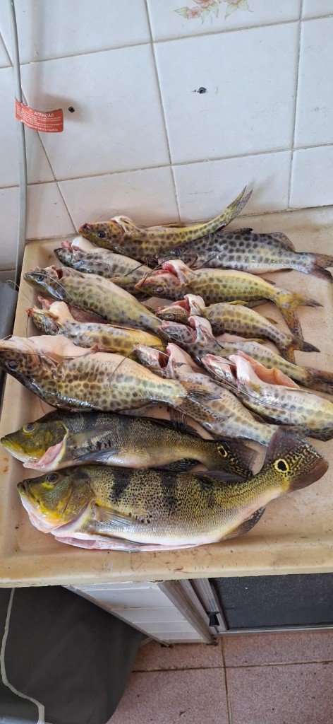 Bandeja de Peixes Faturados