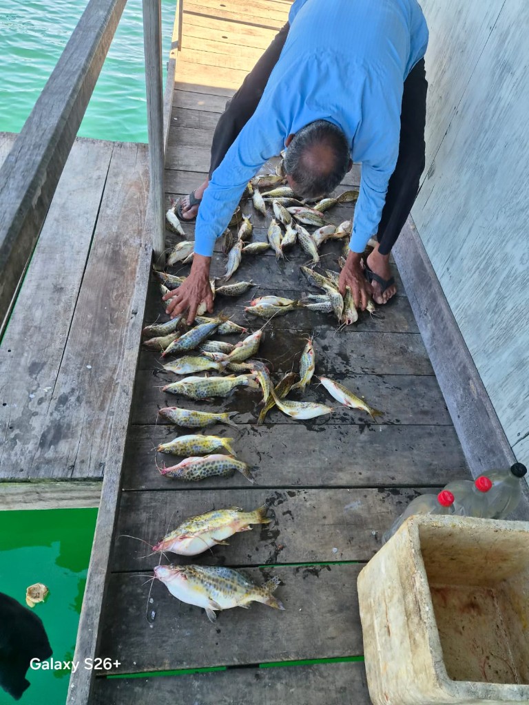 Pescador com Fartura no Tablado